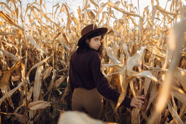 Kahverengi şapkalı ve kıyafetli güzel bir kadın sonbahar mısır tarlasında sıcak güneşli ışıkta yürüyor. Güz mevsiminde kırsalda mısır tarlasında poz veren alımlı, çekici genç bir kadın.