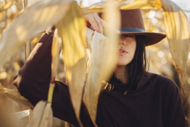 Sonbahar mısır tarlasında sıcak güneşli ışıkta poz veren şapkalı ve kahverengi elbiseli şık kadın portresi. Şık, çekici, genç bir kadın akşamları mısırların içinde duruyor.