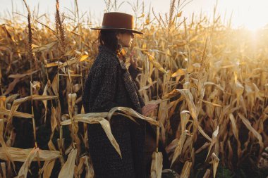Kahverengi şapkalı ve kaliteli ceketli güzel bir kadın sonbahar mısır tarlasında ılık güneş ışığında yürüyor. Modaya uygun genç hippi kadın kırsalda sonbahar mısırları içinde yürüyor. Atmosferik an