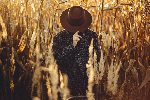 Beautiful Stylish Woman Hiding Face Brown Hat Posing Autumn Maize — Stock Photo, Image