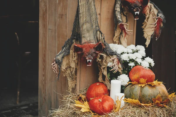 Scary Bat Vampire Pumpkins Candle Autumn Flowers Leaves City Street — Stock Photo, Image