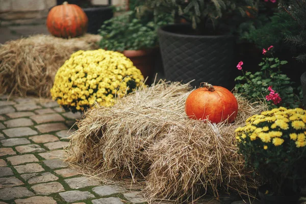 Pumpkins Hay Stack Flowers City Street Festive Holiday Decor Halloween — Stock Photo, Image