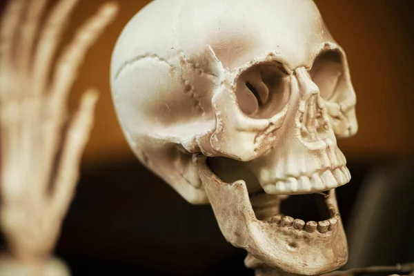 Esqueleto Miedo Cráneo Mano Cerca Calle Ciudad Decoración Vacaciones Espeluznante — Foto de Stock