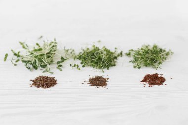 Evde mikroçim yetiştiriyorum. Arugula, fesleğen, keten, su teresi mikroyeşil ve tohumlar. Beyaz ahşap arka planda taze mikroçim filizleri ve tohumlar. Boşluğu kopyala