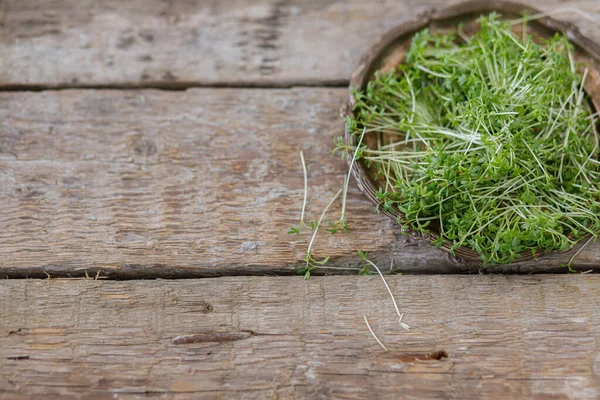 Salad Selada Air Segar Tumbuh Piring Vintage Pada Kayu Pedesaan — Stok Foto