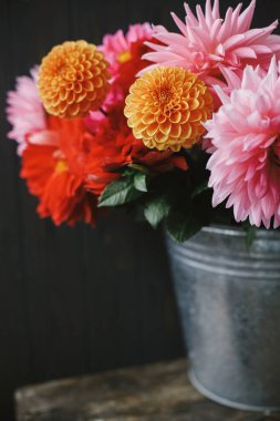 Güzel pembe ve kırmızı yıldız çiçekleri ve taşralı ahşap arka planda metal kovada çiçekler. Sonbahar çiçeği buketi. Kırsal kesimde taze renkli yıldız çiçekleri, kırsal kesimde sonbahar mevsimi.