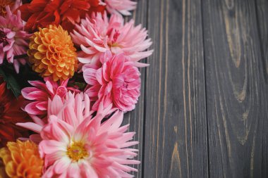 Sonbahar çiçekleri kırsal ahşap arka planda ve metin için yeri var. Mevsimlik tebrik kartı şablonu. Koyu masada güzel kırmızı, pembe ve turuncu yıldız çiçekleri. Kırsalda sonbahar