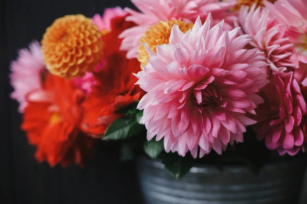 Buquê Flores Outono Linda Rosa Vermelho Laranja Dahlias Flores Asters — Fotografia de Stock