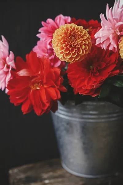 Φθινοπωρινό Μπουκέτο Όμορφες Ροζ Και Κόκκινες Ντάλιες Και Αστέρια Λουλούδια — Φωτογραφία Αρχείου