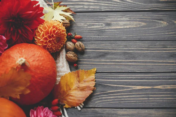 Güzel bir sonbahar dairesi ve yazı için yeri vardı. Balkabakları, sonbahar çiçekleri, böğürtlen, yapraklar ve ceviz kompozisyonu kırsal ahşap üzerinde battaniye. Mutlu Şükran Günleri Mevsimlik tebrik kartı şablonu