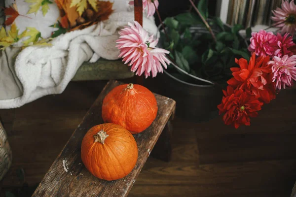 Temporada Otoño Campo Vida Rural Lenta Hermosas Calabazas Banco Madera — Foto de Stock