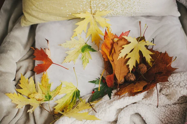 Piękny Upadek Liści Przytulnym Krześle Poduszką Rustykalnym Pokoju Jesienny Sezon — Zdjęcie stockowe