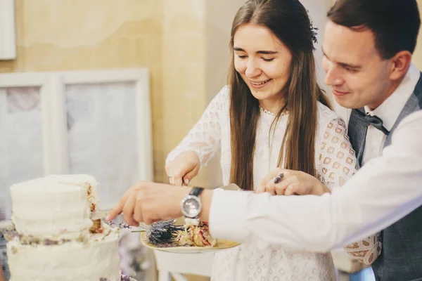 Stijlvolle Gelukkige Bruid Bruidegom Snijden Samen Moderne Taart Met Lavendel — Stockfoto