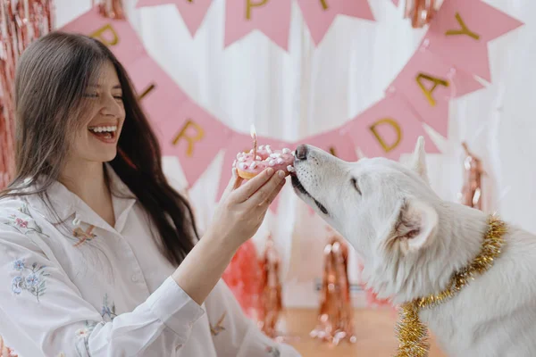 Милая Собака Кусает Пончик День Рождения Свечой Фоне Розовой Гирлянды — стоковое фото