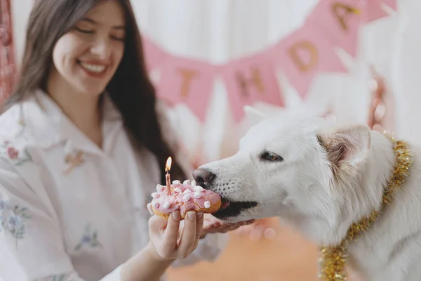 Festa Aniversário Cães Jovem Feliz Celebrando Primeiro Aniversário Cão Com — Fotografia de Stock