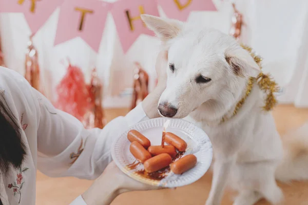 Симпатичная Собака Смотрит Праздничный Торт Колбас Свечой Фоне Розовой Гирлянды — стоковое фото
