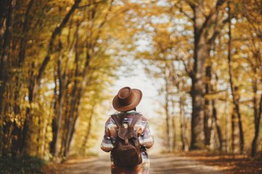 Travel and wanderlust concept. Stylish woman traveller in hat with backpack walking on road in sunny autumn woods. Young female hipster hiking in fall forest, beautiful moment. Back view clipart