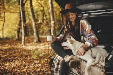 Güneşli sonbahar ormanlarında çantalı ve sırt çantalı şık hippi bir kadın arabanın bagajında sevimli bir köpekle oturuyor. Evcil hayvanla yolculuk ve yolculuk. Mesaj için yer var. Genç bayan gezgin tatlı beyaz köpeğe sarılıyor.