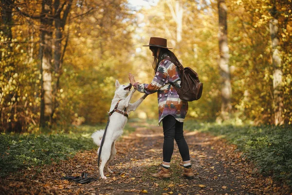 Stylische Frau Mit Hut Und Rucksack Trainiert Niedlichen Hund Sonnigen — Stockfoto