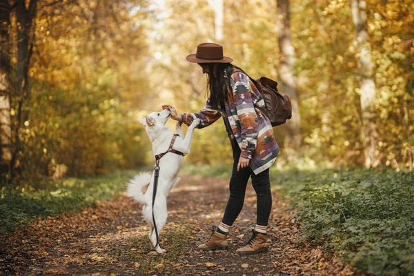 Stylová Žena Klobouku Batohem Trénink Roztomilý Pes Slunném Podzimním Lese — Stock fotografie