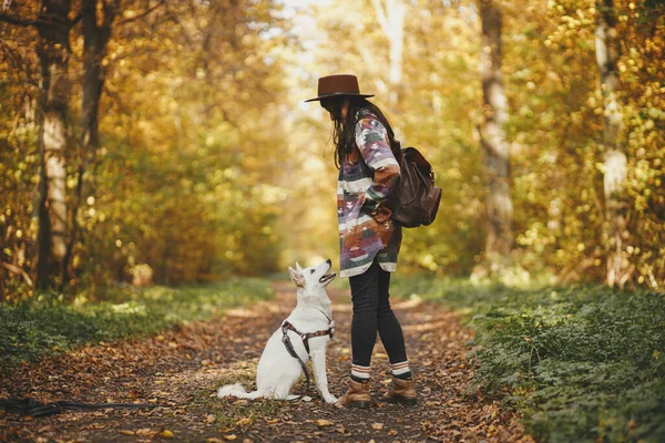 Stilvolle Reisenden Mit Hut Wandern Mit Niedlichen Hund Sonnigen Herbstwäldern — Stockfoto