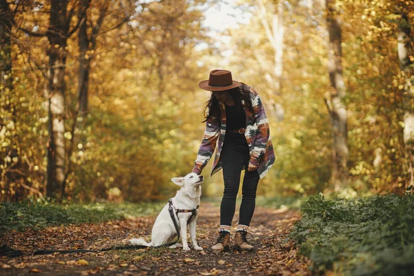 Penjelajah Wanita Bergaya Dalam Topi Membelai Anjing Lucu Hutan Musim — Stok Foto