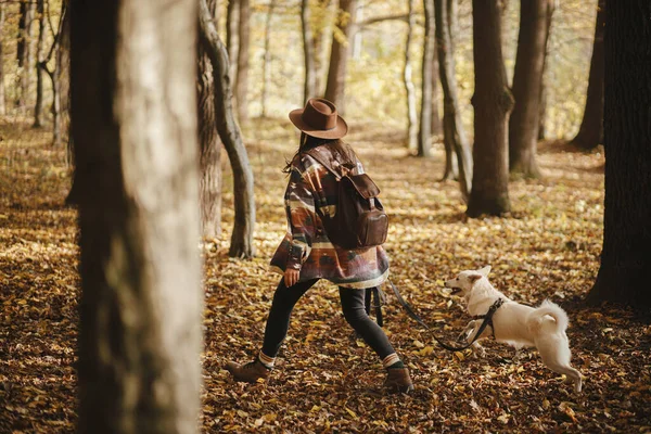 Stilvolle Frau Mit Hut Und Rucksack Die Mit Niedlichem Hund — Stockfoto