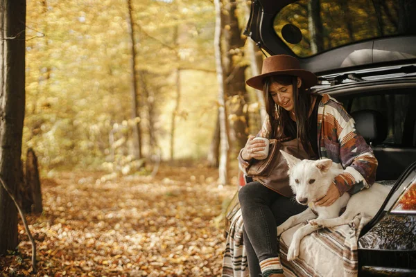 Stilvolle Reisende Mit Rucksack Die Mit Niedlichem Hund Kofferraum Sonnigen — Stockfoto