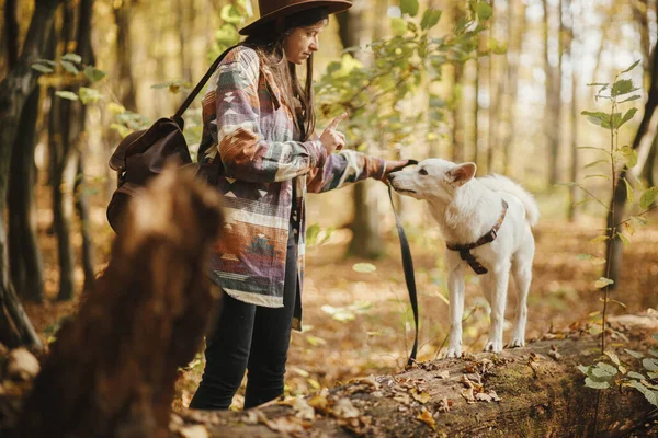 Wanita Bergaya Dalam Topi Melatih Anjing Lucu Berjalan Tunggul Tua — Stok Foto