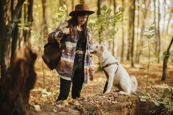 Stijlvolle Vrouw Hoed Training Schattige Hond Zittend Oude Stronk Zonnige — Stockfoto