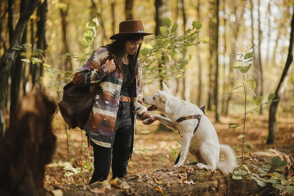 Stilvolle Frau Mit Hut Trainiert Niedlichen Hund Sitzt Und Gibt — Stockfoto