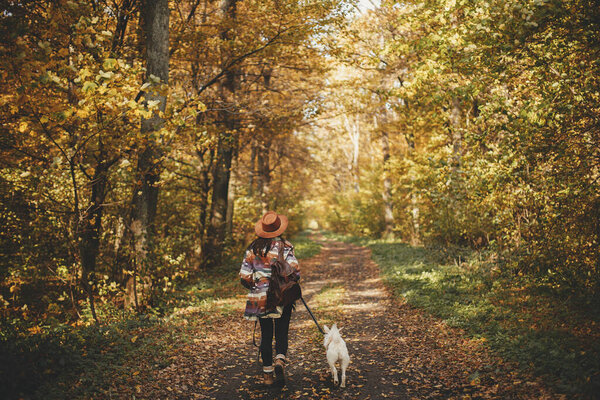 Stylish Woman Hat Backpack Walking Cute Dog Sunny Autumn Woods — Stock Photo, Image