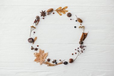 Sonbahar çelengi düzdü. Sonbahar yaprakları, böğürtlen, fındık, anason, beyaz ahşap üzerinde çember şeklinde meşe palamudu, kurumuş bitkilerle birlikte sonbahar çelengi. Mutlu Şükran Günleri ve Merhaba Sonbahar