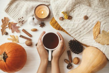 Sonbahar yaprakları, balkabağı, rahat kazaklar, beyaz odunda yanan mum gibi arka planda sıcak çay tutan eller. Merhaba sonbahar ve Şükran Gününüz kutlu olsun. Sonbahar düzlüğü