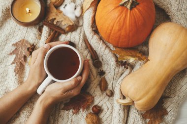 Elleri sıcak çay bardağını balkabaklı, sonbahar yapraklı, yanan mumlu, şık, rahat süveterin üzerinde tutuyor. Merhaba sonbahar, rahat ve yavaş yaşam. Mutlu Şükran Günleri Sonbahar düzlüğü