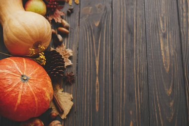 Mutlu Şükran Günleri Balkabakları, sonbahar yaprakları, anason, meşe palamudu, tarçın sınırı kırsal karanlık odunlar ve yazı için yer. Merhaba Autumn. Hasat et
