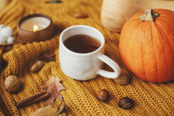Warm Cup Tea Yellow Knitted Sweater Pumpkins Autumn Leaves Burning — Stock Photo, Image