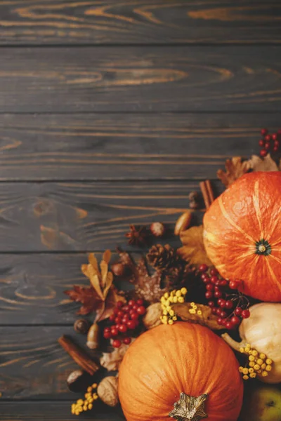 Pumpkins, autumn leaves, anise, acorns, cinnamon border on rustic dark wood. Happy Thanksgiving and Halloween template. Flat lay with space for text. Hello Autumn. Harvest