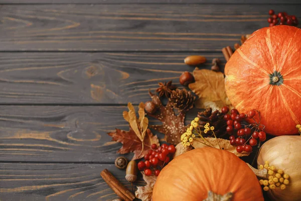 Calabazas Hojas Otoño Anís Bellotas Borde Canela Madera Oscura Rústica — Foto de Stock