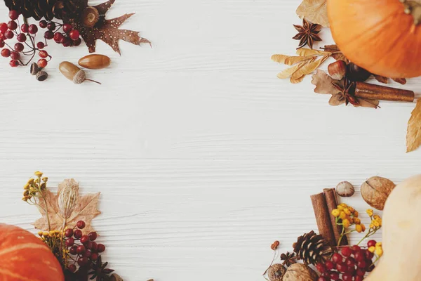 カボチャ 秋の葉 アニス アコーン 白木のシナモン 秋の背景テキストのためのスペースとフラットレイアウト ハッピーサンクスギビングとハロウィンテンプレート こんにちは秋 — ストック写真