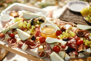 Antipasto. Maasdam, Bree, çedar, prosciutto, salam, incir, bal, üzüm, armut ve kiraz domatesli peynir tahtası. Şarküteri tahtası. Açık hava partisi için İtalyan aperatifleri