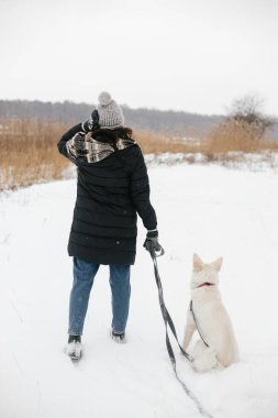 Karlı kış parkında sevimli bir köpekle yürüyen şık hippi kadın. Evcil hayvanla yürüyüş ve seyahat. Samimi elbiseli genç bir kadın, beyaz İsviçreli çoban köpeğiyle yürüyüş yapıyor. Gezgin şehveti. Metin için boşluk