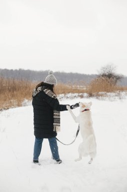 Karlı kış parkında sevimli köpekle oynayan şık hippi kadın. Evcil hayvanla yürüyüş ve seyahat. Samimi giysiler içinde genç, mutlu bir bayan, İsviçreli çoban köpeği eğitiyor. Sadık yoldaş.