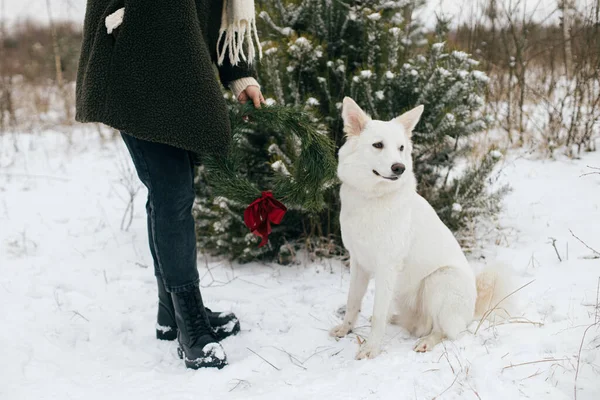 Vrouw Met Kerstkrans Schattige Hond Besneeuwd Winterpark Stijlvol Vrouwtje Knusse — Stockfoto