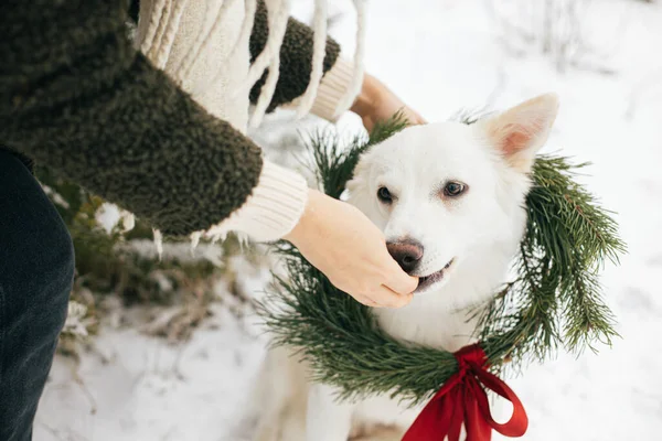 Vrouw Zet Kerstkrans Schattige Hond Besneeuwde Winterpark Stijlvol Vrouwtje Knusse — Stockfoto