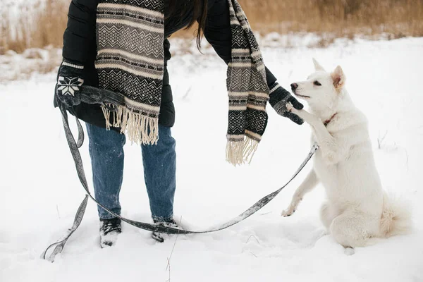 Stijlvolle Hippe Vrouw Spelen Met Schattige Hond Besneeuwde Winterpark Wandelen — Stockfoto