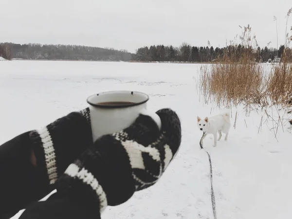 Cão Branco Bonito Lago Inverno Mãos Borradas Luvas Aconchegantes Segurando — Fotografia de Stock