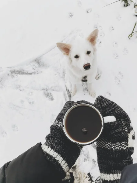 冬日里 在雪地湖畔 一只可爱的白狗抱着温暖的茶杯 手戴着舒适的手套 在寒冷季节和白色的瑞士牧羊犬一起远足和旅行 游手好闲顶部视图 — 图库照片