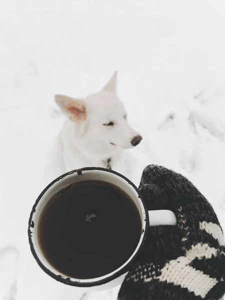 Main Dans Gant Confortable Tenant Une Tasse Thé Chaude Sur — Photo