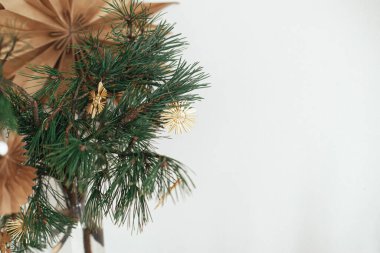 Şık bir noel yıldızı, süslü İskandinav odasındaki arka plandaki İsveçli yıldızın vazosundaki çam dalları üzerinde saman süsleri. Eko plastik bedava dekorasyon. Metin için boşluk
